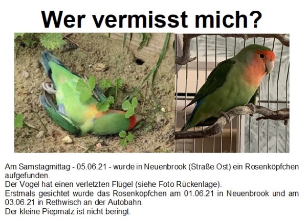 2021-06-07 Rosenköpfchen